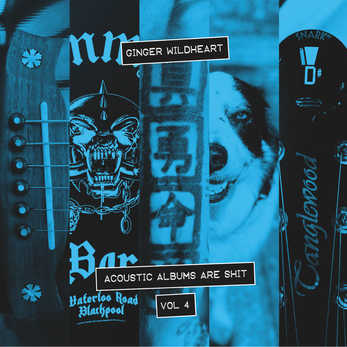 Ginger Wildheart - Acoustic Albums Are Shit Vol 1-4 CD