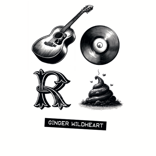 Ginger Wildheart - Acoustic Albums Are Shit Vol 1-4 CD