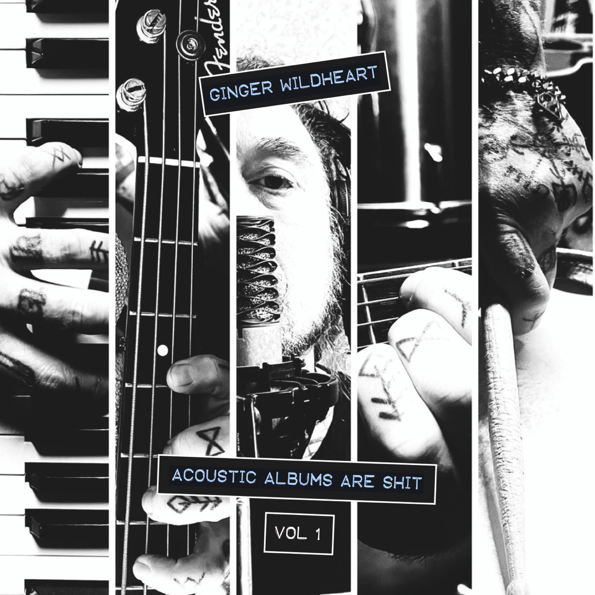 Ginger Wildheart - Acoustic Albums Are Shit Vol 1-4 CD